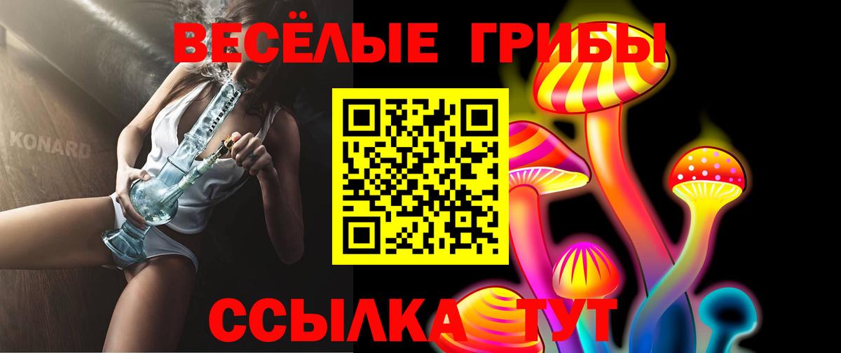 Псилоцибиновые грибы мицелий Хабаровск